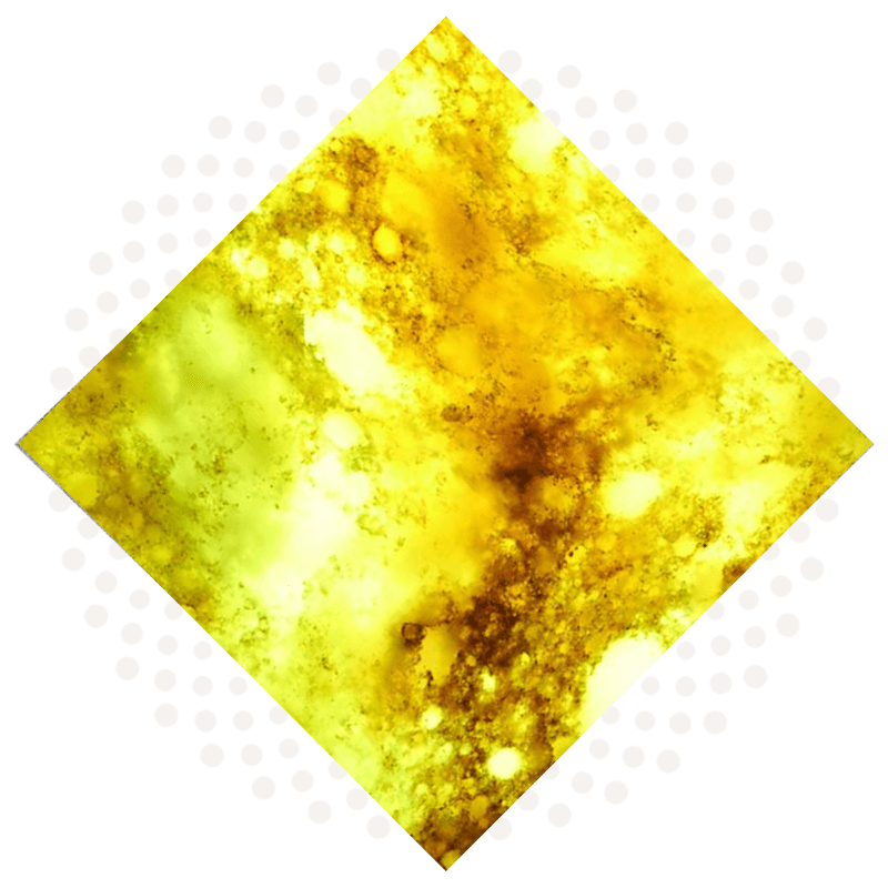 Untitled design (2)